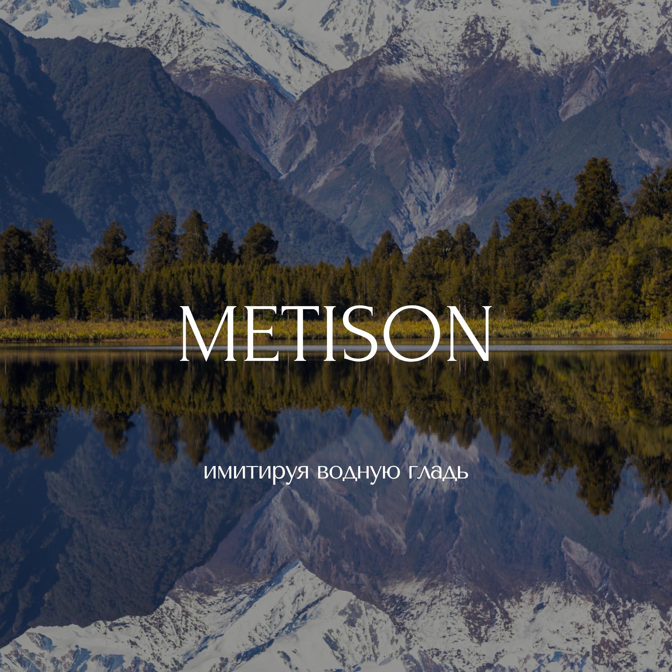 METISON
